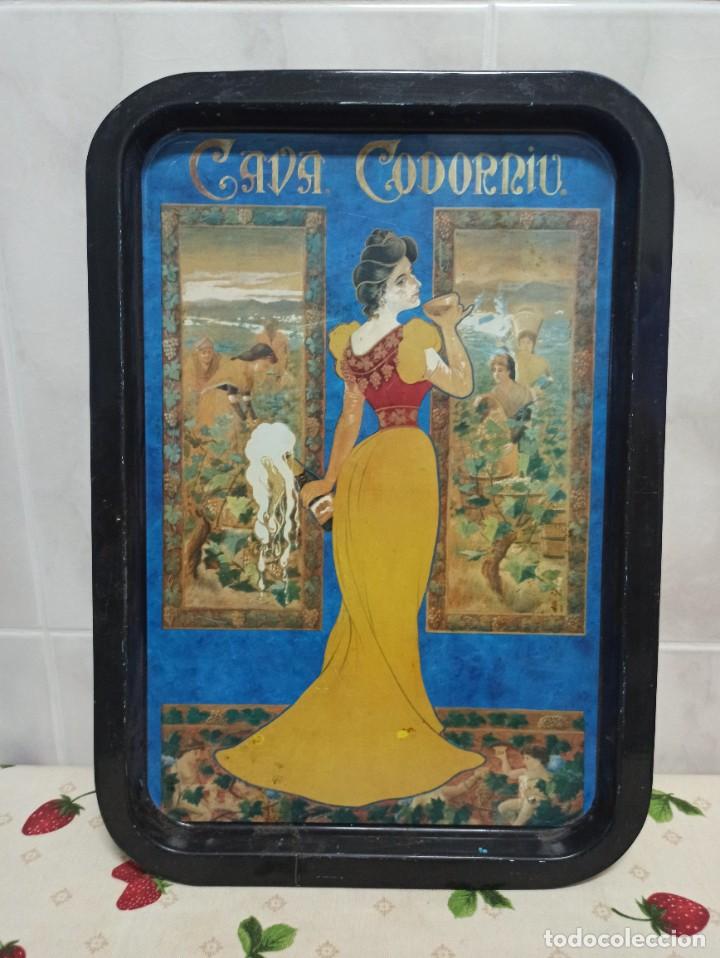 Antig&uuml;edades: Bandeja Cava Codorniu - Foto 1