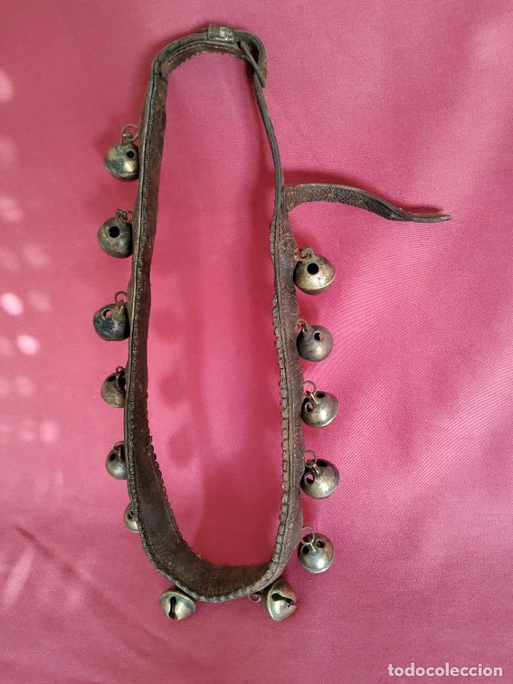 collar de cuero y 6 cascabeles grandes para cab - Acheter Antiquités  équestres et matériel d'équitation ancien sur todocoleccion