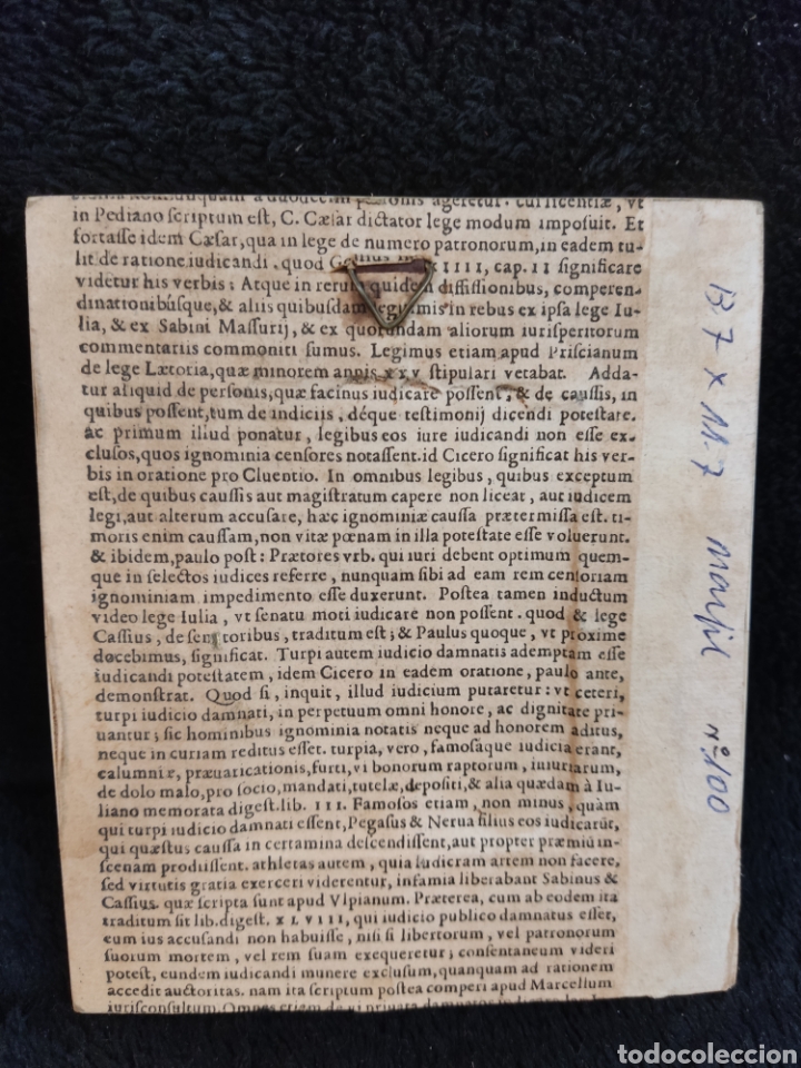 Antig&uuml;edades: Marco de marfil y carey - Foto 2