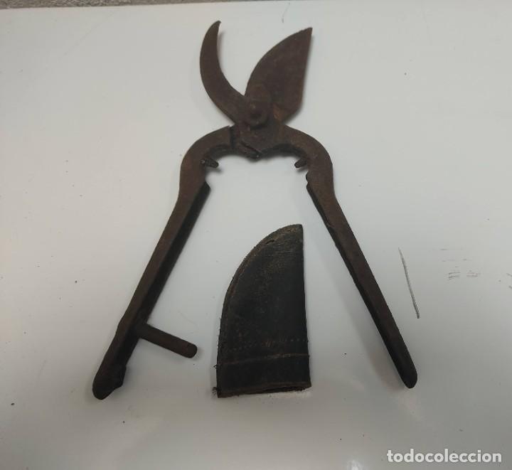 Antig&uuml;edades: TIJERA DE PODA ANTIGUA - Foto 1