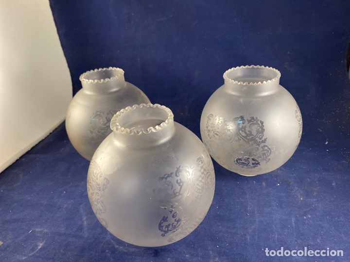 Antiquit&auml;ten: Tulipas antiguas