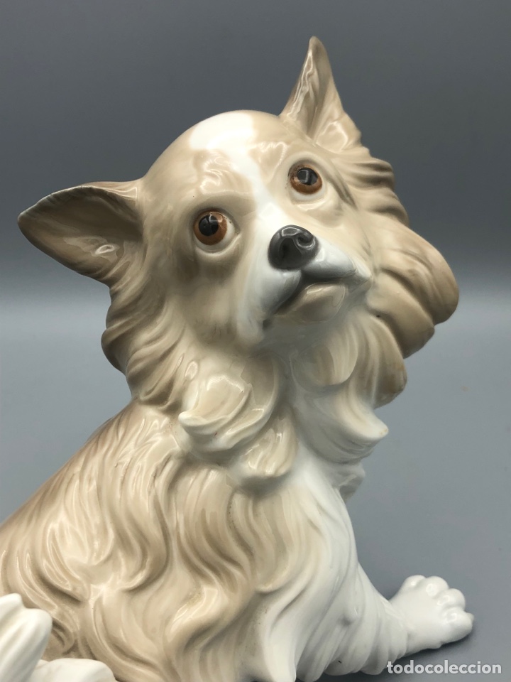 Antig&uuml;edades: REF: 01004857 &ldquo;PERRO PAPILL&Oacute;N&rdquo; LLADR&Oacute; - Foto 1
