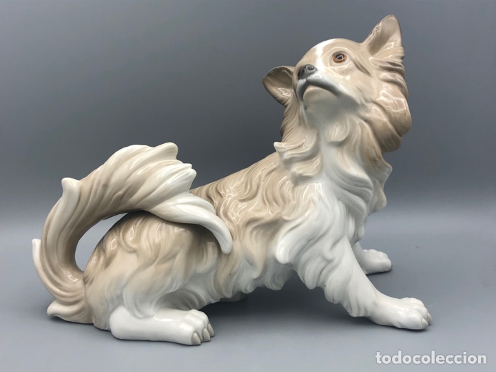 Antig&uuml;edades: REF: 01004857 &ldquo;PERRO PAPILL&Oacute;N&rdquo; LLADR&Oacute; - Foto 3