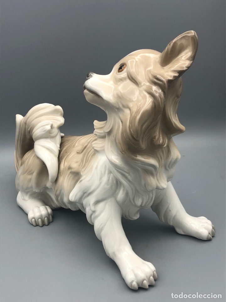 Antig&uuml;edades: REF: 01004857 &ldquo;PERRO PAPILL&Oacute;N&rdquo; LLADR&Oacute; - Foto 6