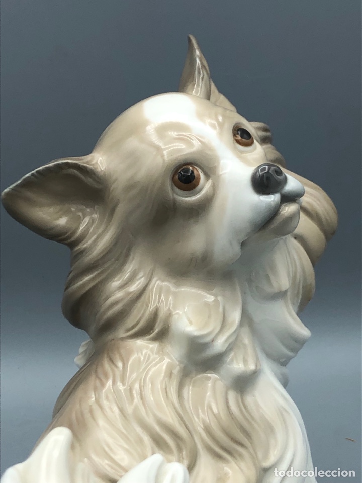 Antig&uuml;edades: REF: 01004857 &ldquo;PERRO PAPILL&Oacute;N&rdquo; LLADR&Oacute; - Foto 7