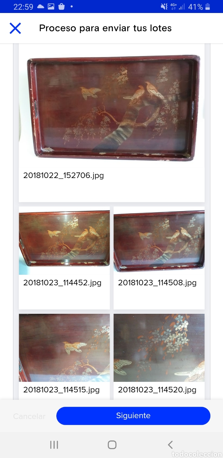 Antig&uuml;edades: Bandeja China sigloXIX - Foto 1