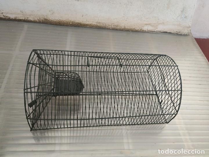 Antig&uuml;edades: Jaula ratones. - Foto 1