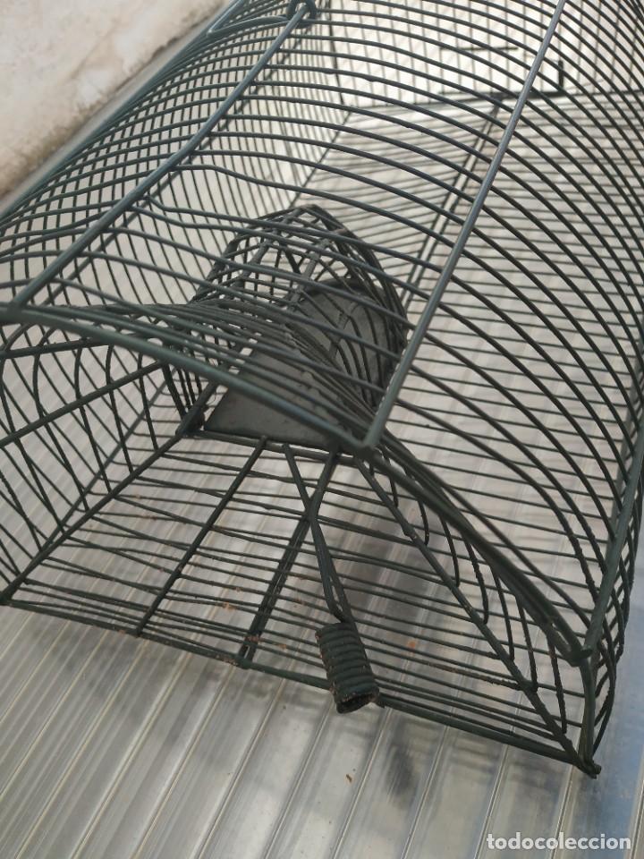 Antig&uuml;edades: Jaula ratones. - Foto 2