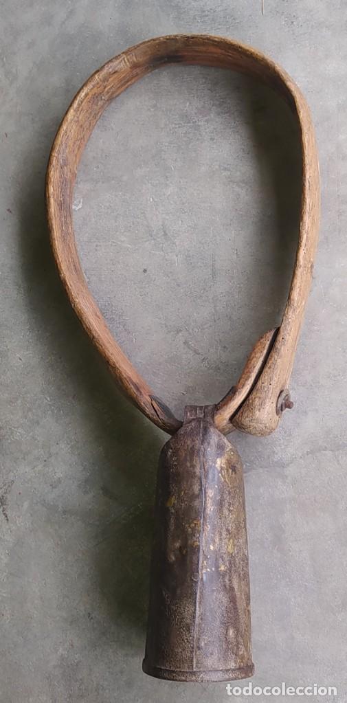 Antig&uuml;edades: CENCERRO CON COLLAR, ENV&Iacute;O INCLUIDO - Foto 1