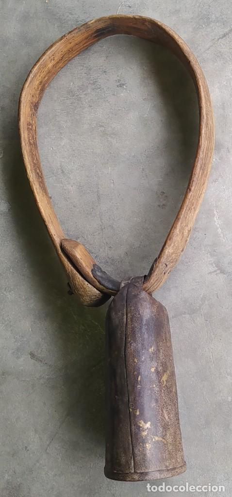 Antig&uuml;edades: CENCERRO CON COLLAR, ENV&Iacute;O INCLUIDO - Foto 2