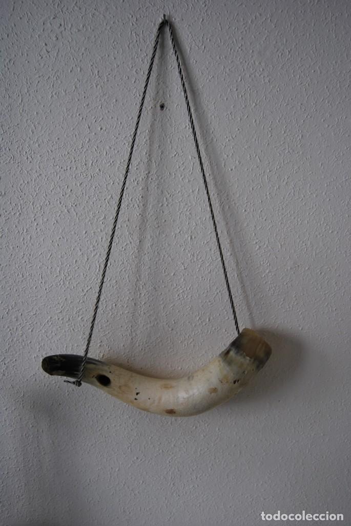 Antig&uuml;edades: CUERNO DE VACA O TORO - ASTA - Foto 1