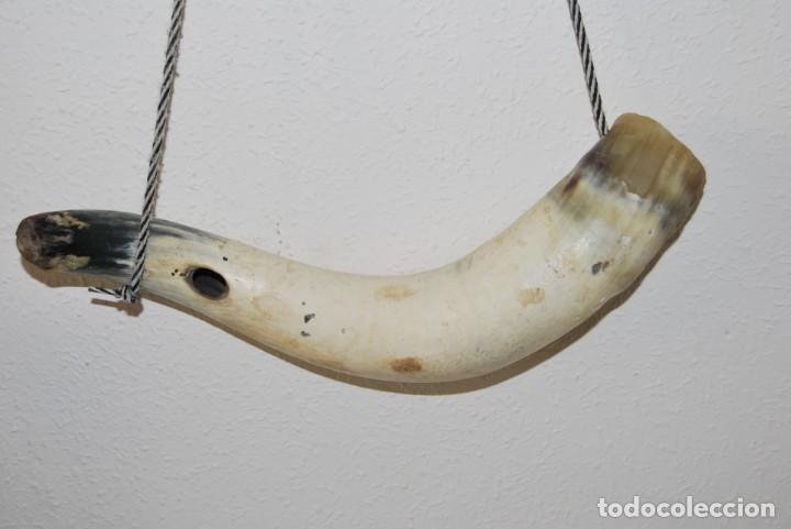 Antig&uuml;edades: CUERNO DE VACA O TORO - ASTA - Foto 2