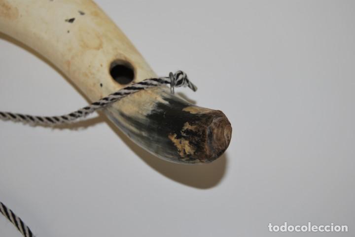 Antig&uuml;edades: CUERNO DE VACA O TORO - ASTA - Foto 4