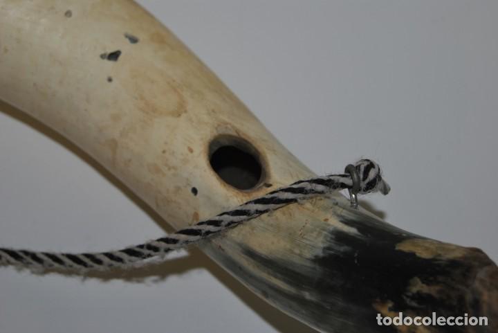 Antig&uuml;edades: CUERNO DE VACA O TORO - ASTA - Foto 5