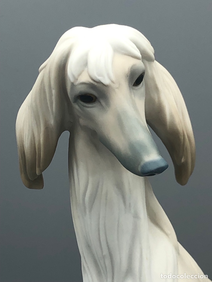 Antig&uuml;edades: REF: 01011069 &ldquo;GALGO NOBLE (MATE)&rdquo; AFGANO LLADR&Oacute; - Foto 2