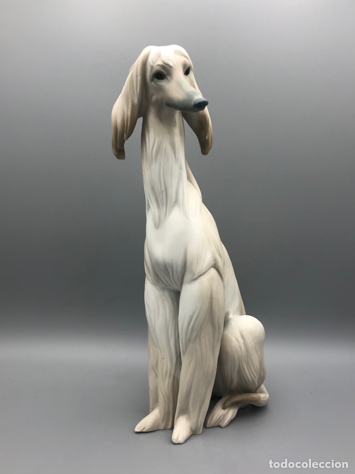 Antig&uuml;edades: REF: 01011069 &ldquo;GALGO NOBLE (MATE)&rdquo; AFGANO LLADR&Oacute; - Foto 3
