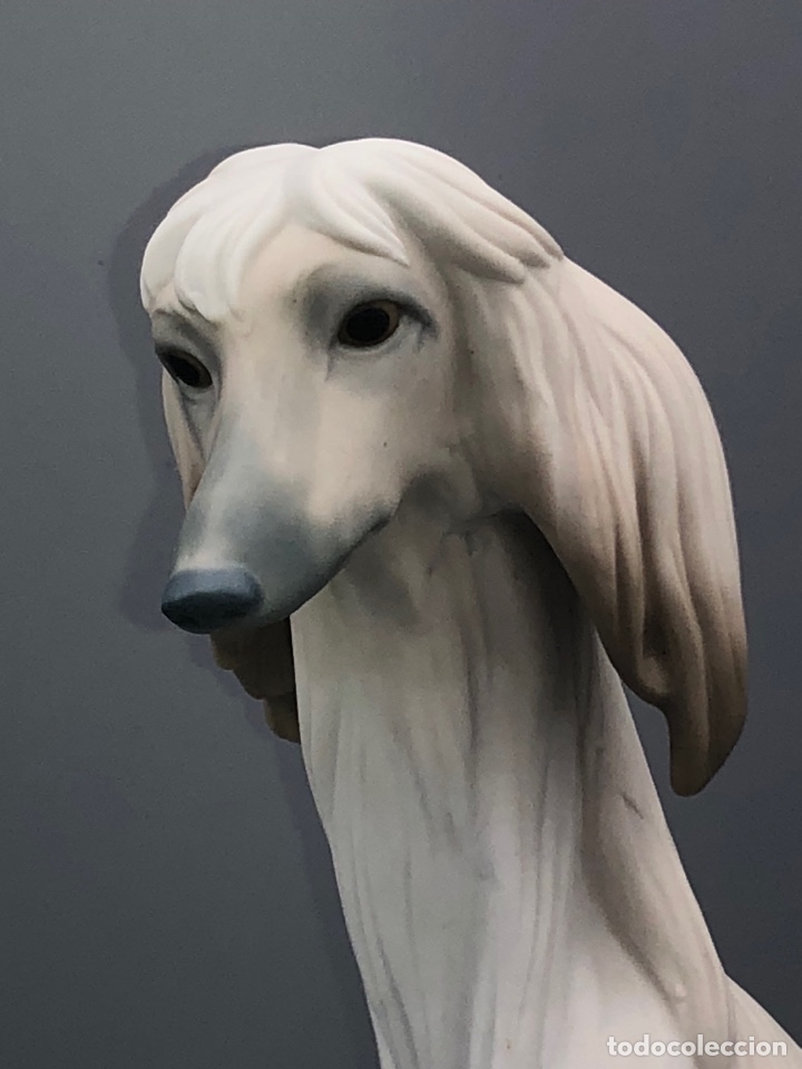Antig&uuml;edades: REF: 01011069 &ldquo;GALGO NOBLE (MATE)&rdquo; AFGANO LLADR&Oacute; - Foto 6