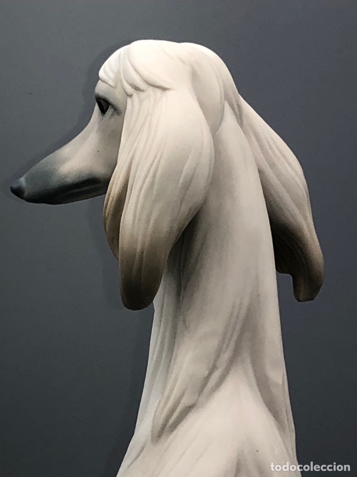 Antig&uuml;edades: REF: 01011069 &ldquo;GALGO NOBLE (MATE)&rdquo; AFGANO LLADR&Oacute; - Foto 8