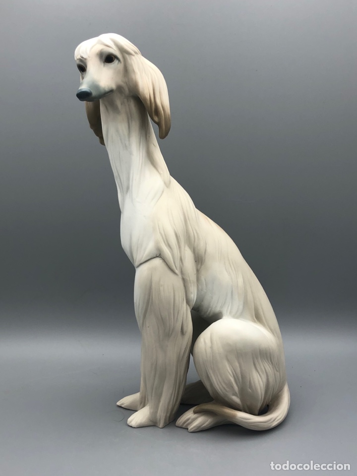 Antig&uuml;edades: REF: 01011069 &ldquo;GALGO NOBLE (MATE)&rdquo; AFGANO LLADR&Oacute; - Foto 1