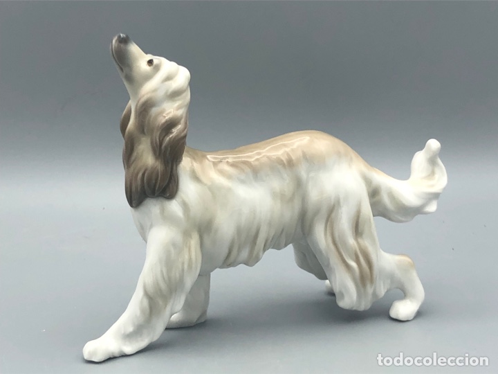 Antig&uuml;edades: REF: 01001282 &ldquo;GALGO AFGANO&rdquo; LLADR&Oacute; - Foto 2