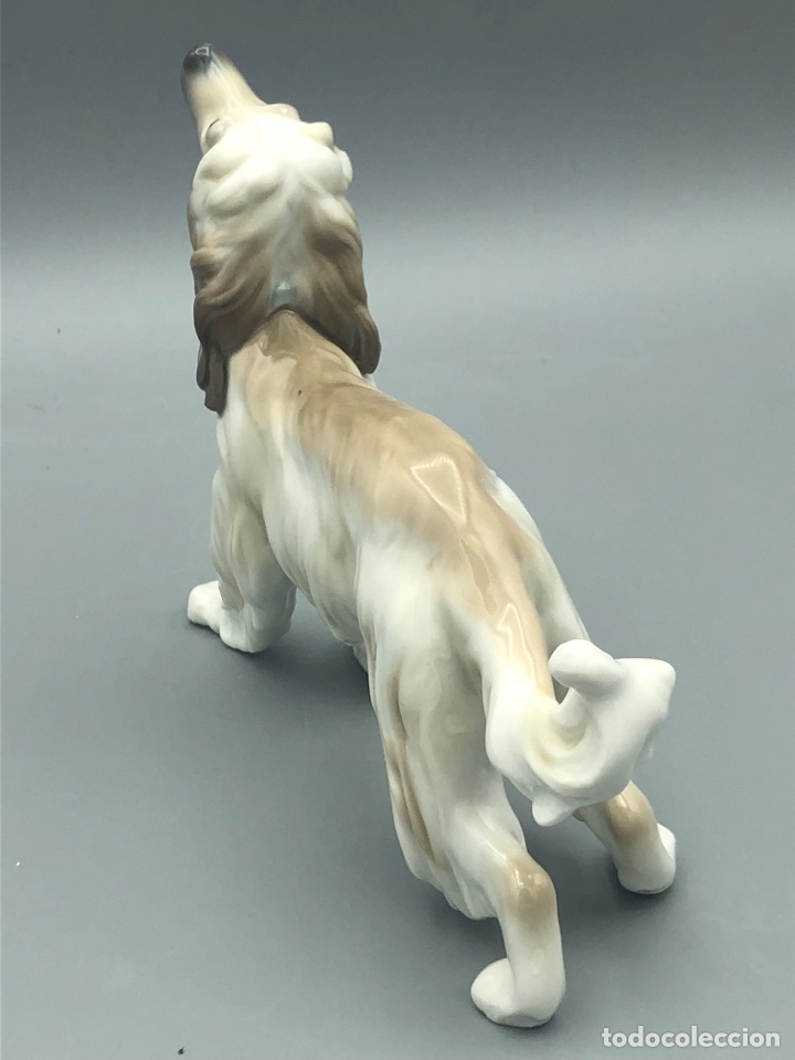 Antig&uuml;edades: REF: 01001282 &ldquo;GALGO AFGANO&rdquo; LLADR&Oacute; - Foto 6