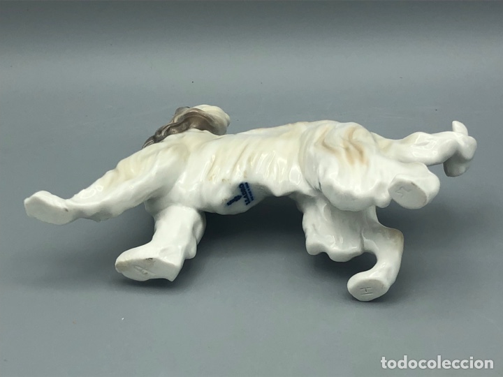 Antig&uuml;edades: REF: 01001282 &ldquo;GALGO AFGANO&rdquo; LLADR&Oacute; - Foto 7