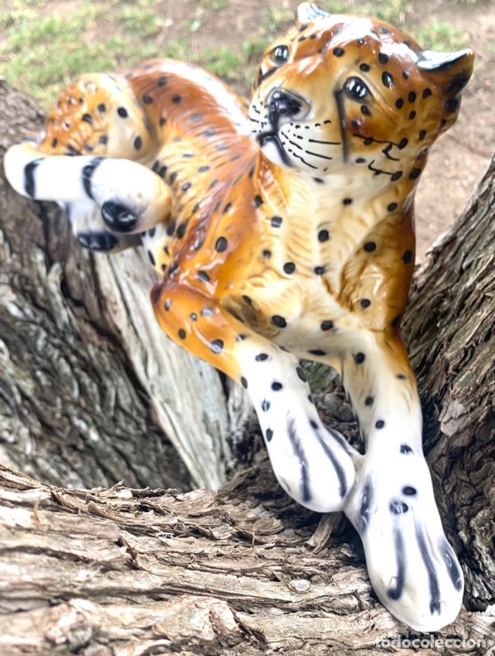 Antig&uuml;edades: LEOPARDO VINTAGE - Foto 7