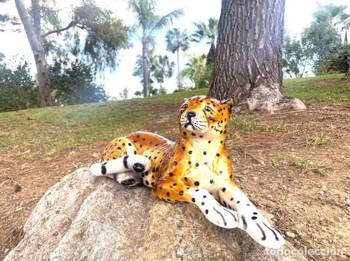 Antig&uuml;edades: LEOPARDO VINTAGE - Foto 9