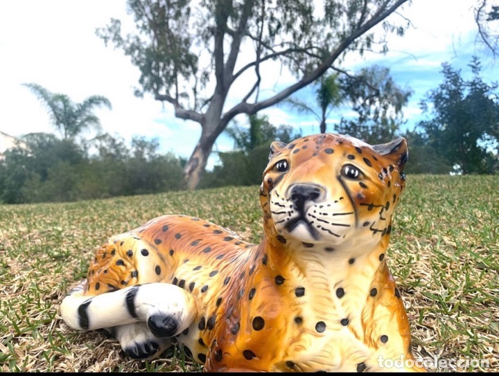 Antig&uuml;edades: LEOPARDO VINTAGE - Foto 10