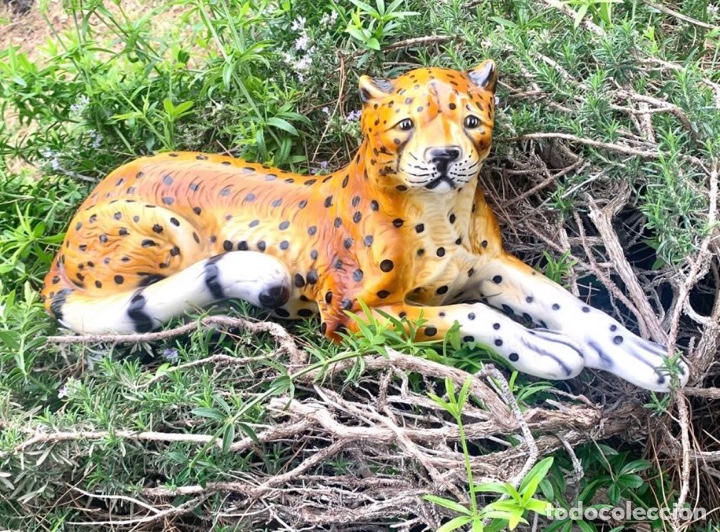 Antig&uuml;edades: LEOPARDO VINTAGE - Foto 1