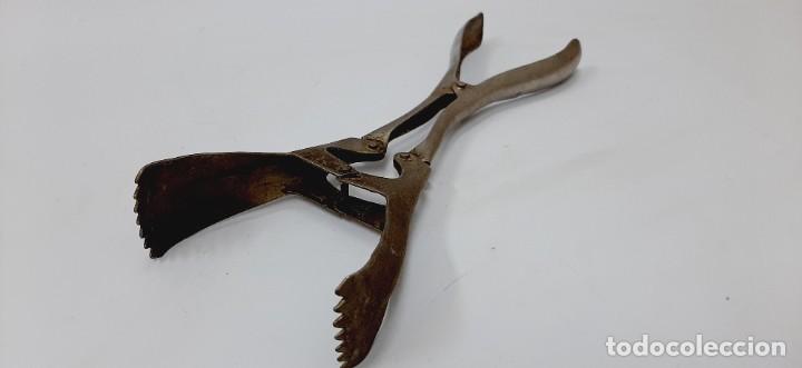 Antig&uuml;edades: Pinzas de cocina vintage - Foto 2