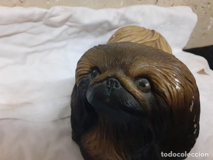 Antig&uuml;edades: Figura perro pequin&eacute;s 20 cms - Foto 3