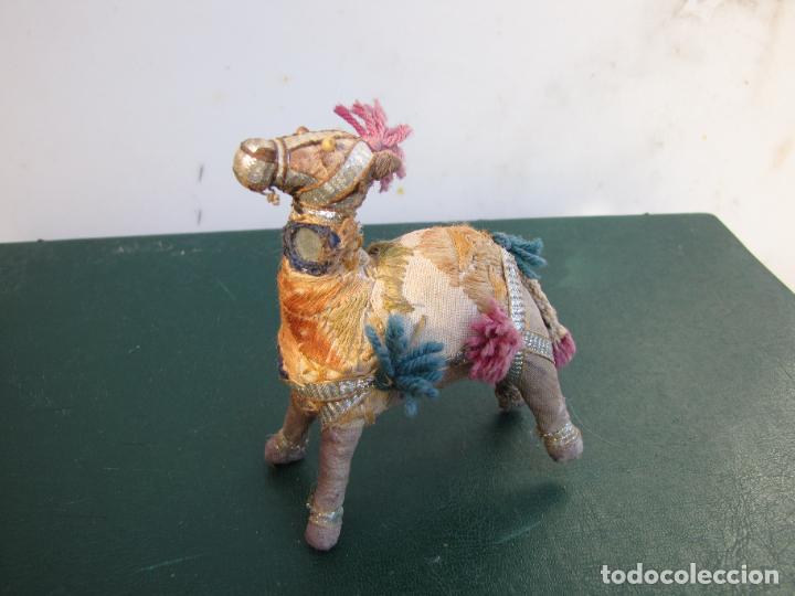 Antig&uuml;edades: 21.- Colecci&oacute;n de antiguos dromedarios. - Foto 2