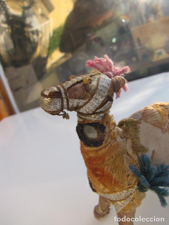 Antig&uuml;edades: 21.- Colecci&oacute;n de antiguos dromedarios. - Foto 5