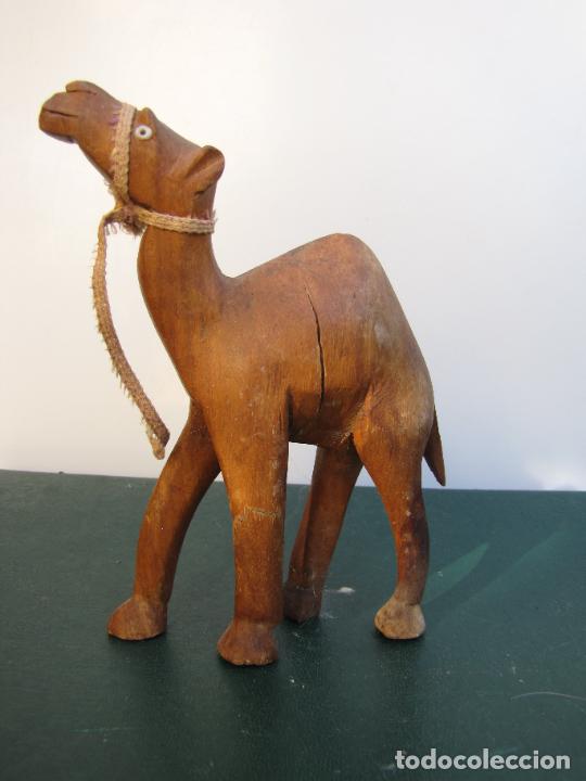 Antig&uuml;edades: 21.- Colecci&oacute;n de antiguos dromedarios. - Foto 12