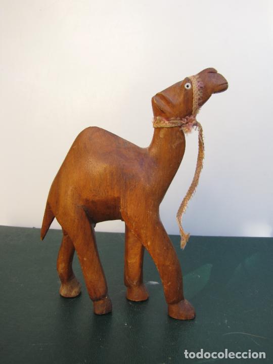 Antig&uuml;edades: 21.- Colecci&oacute;n de antiguos dromedarios. - Foto 13
