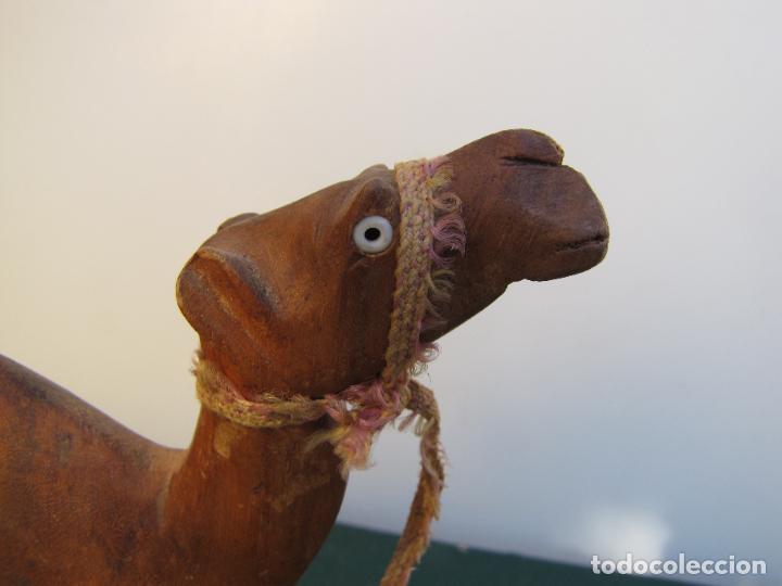 Antig&uuml;edades: 21.- Colecci&oacute;n de antiguos dromedarios. - Foto 14