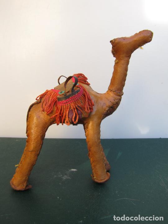 Antig&uuml;edades: 21.- Colecci&oacute;n de antiguos dromedarios. - Foto 18