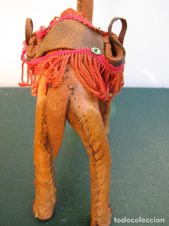 Antig&uuml;edades: 21.- Colecci&oacute;n de antiguos dromedarios. - Foto 20