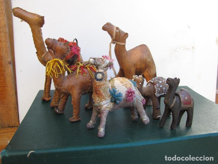 Antig&uuml;edades: 21.- Colecci&oacute;n de antiguos dromedarios. - Foto 1