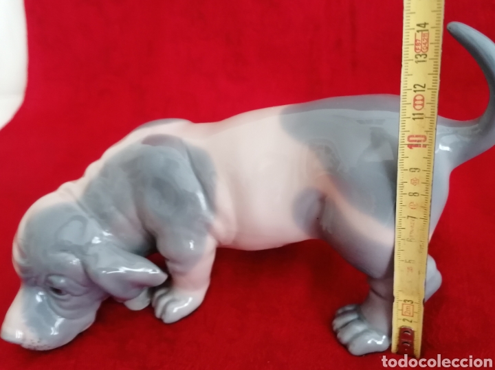 Antig&uuml;edades: Perro Porcelana Zaphir-Lladr&oacute;. - Foto 4