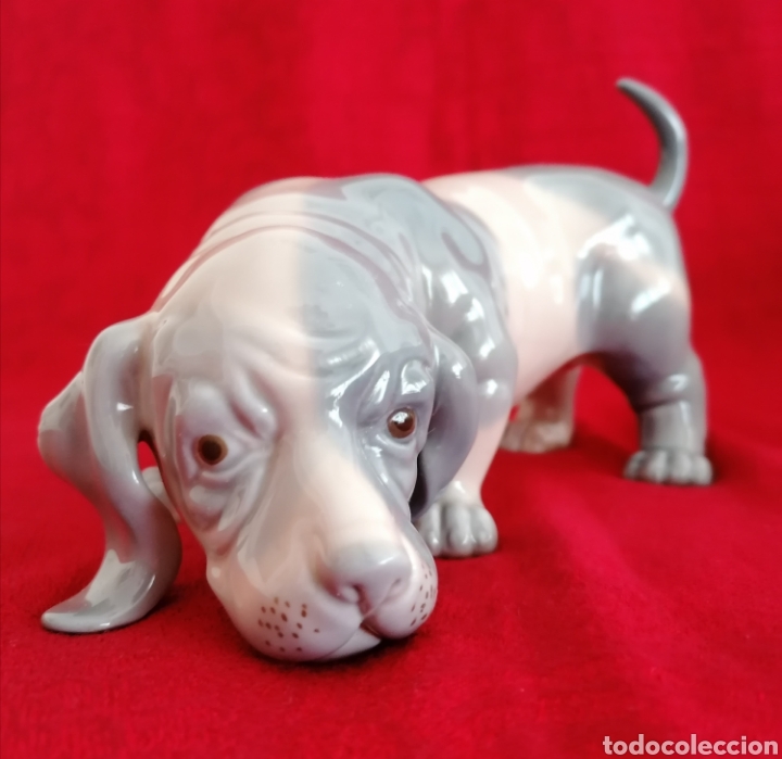 Antig&uuml;edades: Perro Porcelana Zaphir-Lladr&oacute;. - Foto 5