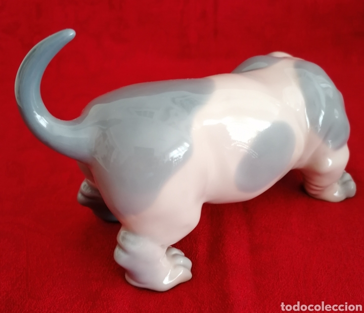 Antig&uuml;edades: Perro Porcelana Zaphir-Lladr&oacute;. - Foto 6