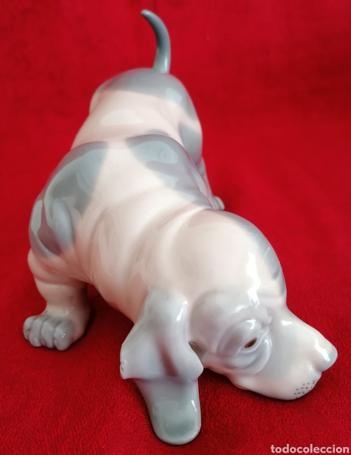 Antig&uuml;edades: Perro Porcelana Zaphir-Lladr&oacute;. - Foto 11