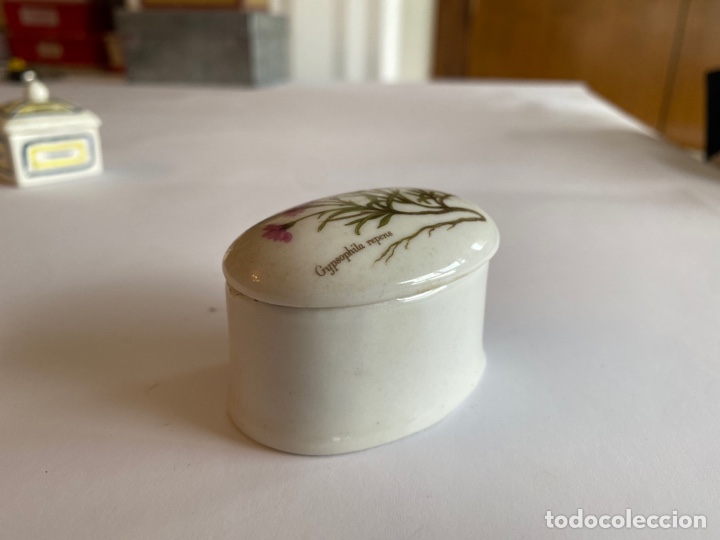 Antig&uuml;edades: Porcelana VICTORIA - Foto 1