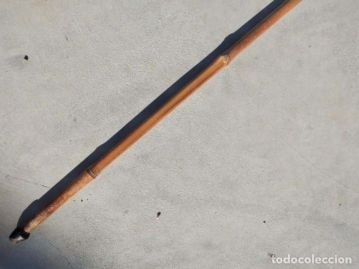 Antig&uuml;edades: Antiguo baston de ca&ntilde;a,mango de pvc. - Foto 3