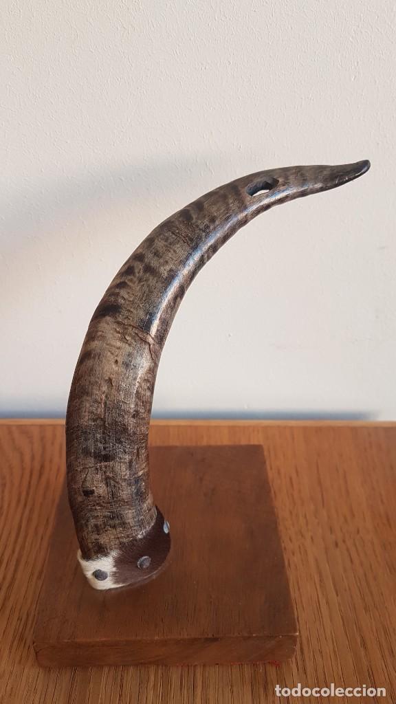 Antig&uuml;edades: CUERNO DE CABRA SOBRE BASE DE MADERA - Foto 1