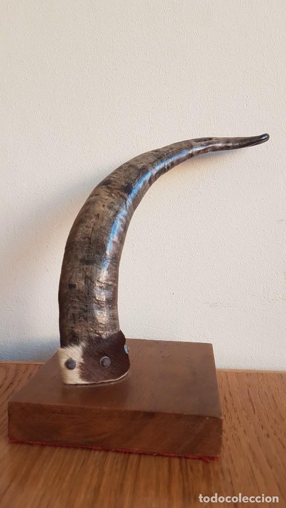 Antig&uuml;edades: CUERNO DE CABRA SOBRE BASE DE MADERA - Foto 2