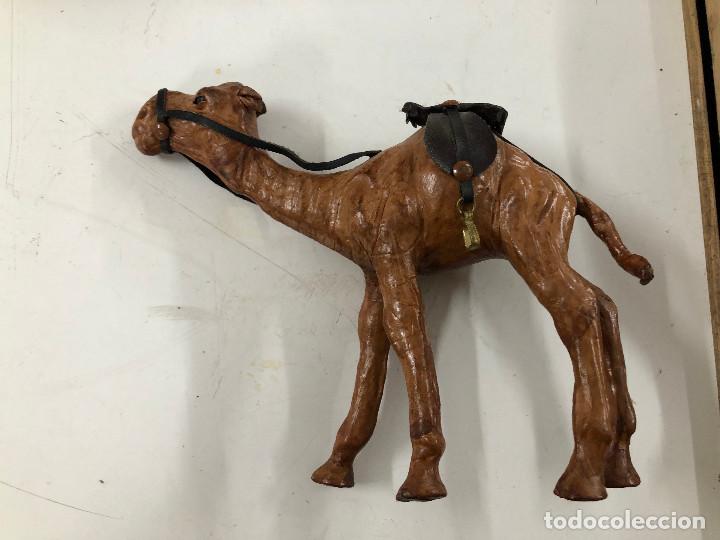 Antig&uuml;edades: Camello de piel, decoraci&oacute;n - Foto 2