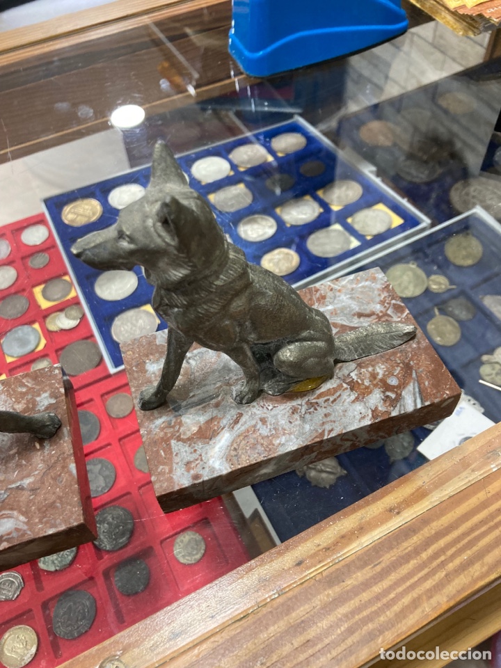 Antig&uuml;edades: Lote de 2 perros sobre base de m&aacute;rmol - Foto 3
